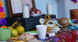 Celebraci&oacute;n de Vida y Tradici&oacute;n en Humanidades